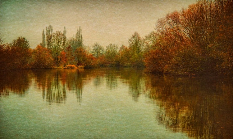 Picture of AUTUMN MORNING ON THE LAKE