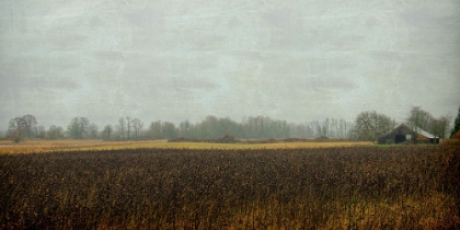 Picture of RUSTIC BARN ON A RAINY DAY