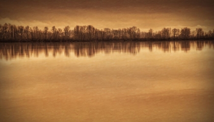 Picture of TREES ALONG THE RIVER