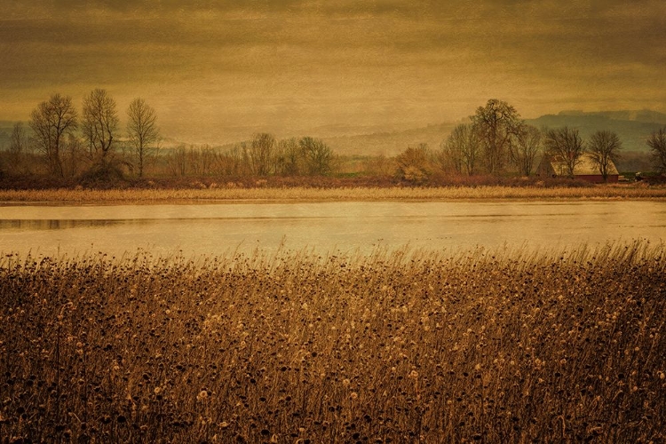 Picture of ACROSS THE FIELD AND POND