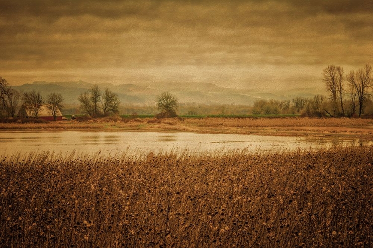 Picture of LITTLE BARN ACROSS THE POND