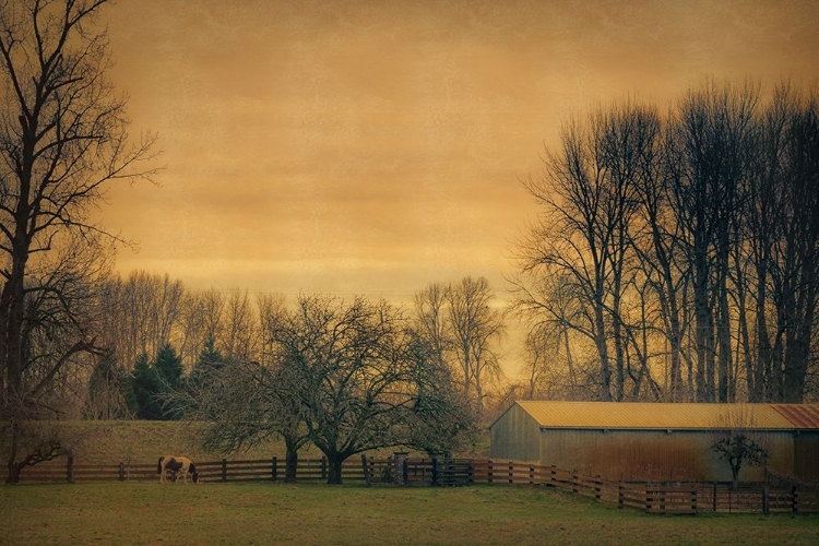 Picture of IN THE PASTURE