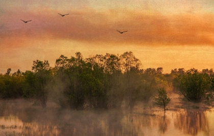 Picture of MIST RISING