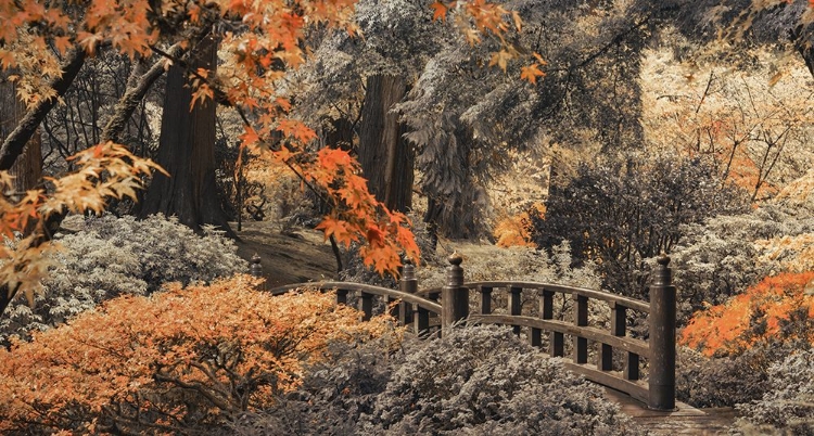 Picture of MOON BRIDGE WALK