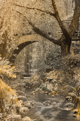 Picture of FLOWING UNDER THE BRIDGE