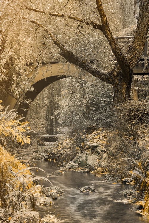 Picture of FLOWING UNDER THE BRIDGE