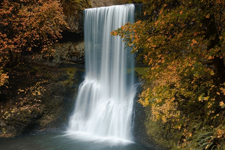 Picture of AUTUMN CASCADE