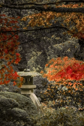 Picture of LANTERN IN THE AUTUMN GLOW