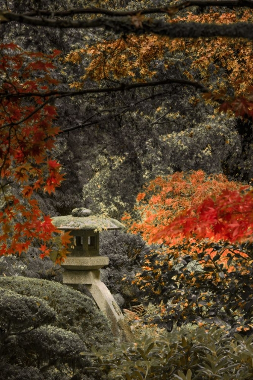 Picture of LANTERN IN THE AUTUMN GLOW