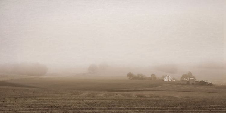 Picture of FOGGY COUNTRY FARM