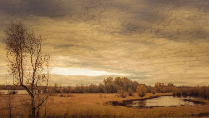 Picture of GEESE ON A POND