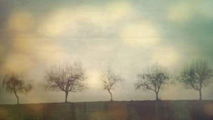 Picture of FIVE TREES ON A HILL