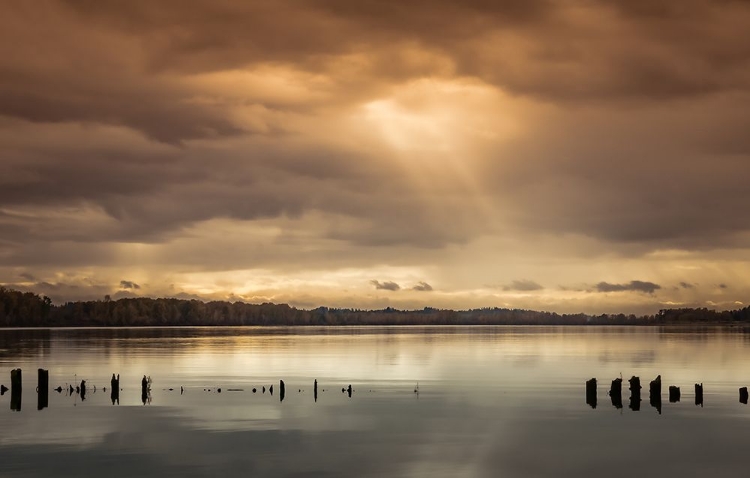 Picture of COLUMBIA RIVER MORNING