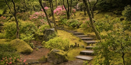 Picture of WINDING STAIRCASE