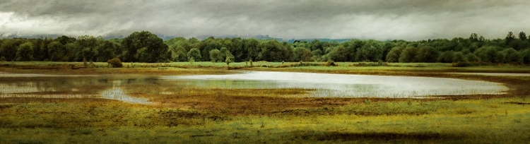 Picture of GLISTENING WETLAND