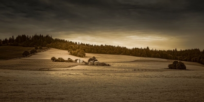 Picture of WINE COUNTRY FARM