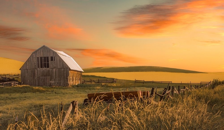 Picture of BROWN BARN ON A COUNTRY ROAD