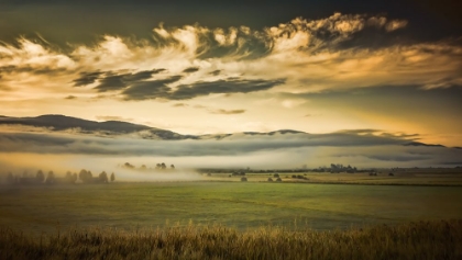 Picture of BLANKETED VALLEY