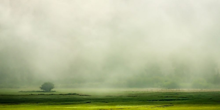 Picture of FOG ROLLS IN