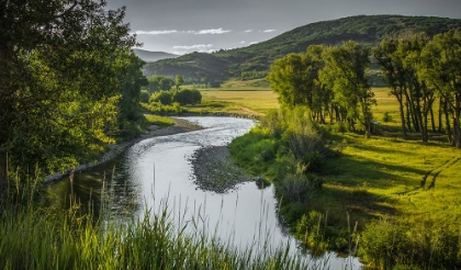 Picture of WINDING RIVER