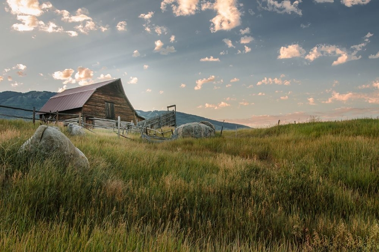 Picture of STEAMBOAT BARN IN SUMMER