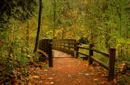 Picture of CREEKSIDE BRIDGE