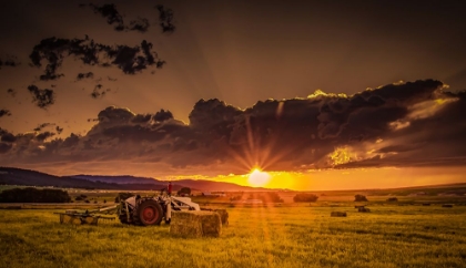 Picture of SUNSET IN THE HAY FIELD