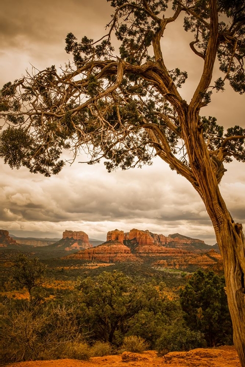 Picture of SEDONA OVERLOOK