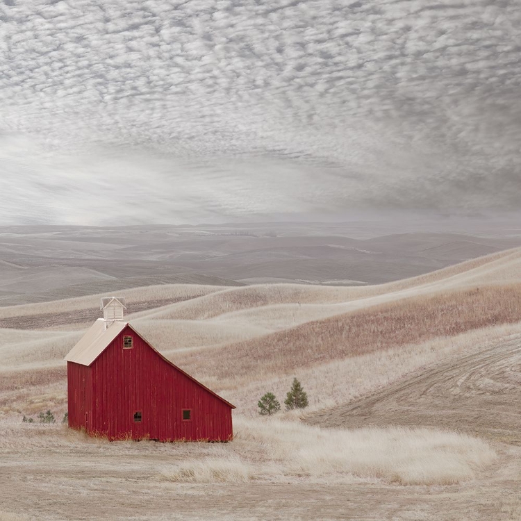 Picture of PILLBOX BARN