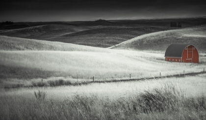 Picture of WAVES OF GRAIN