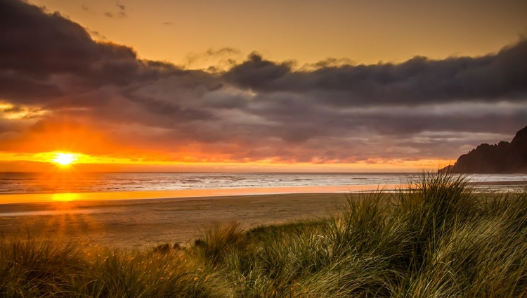 Picture of SUNRAYS OVER MANZANITA