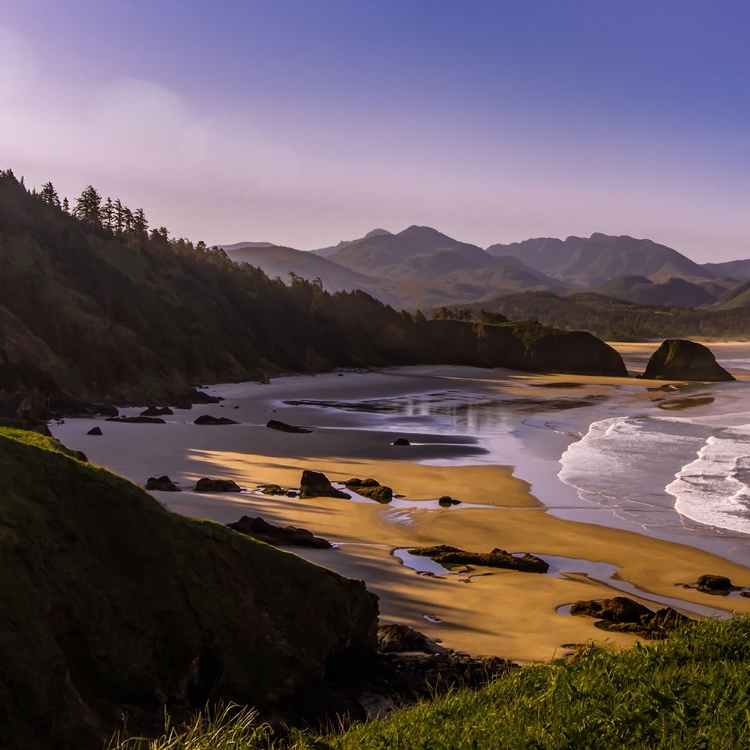 Picture of COASTAL MORNING SHADOWS