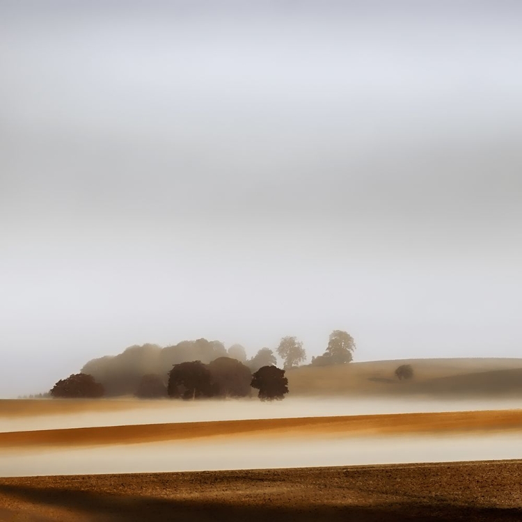 Picture of FOG IN THE COUNTRYSIDE