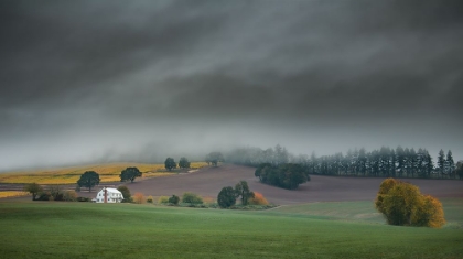 Picture of FARMHOUSE IN THE FALL