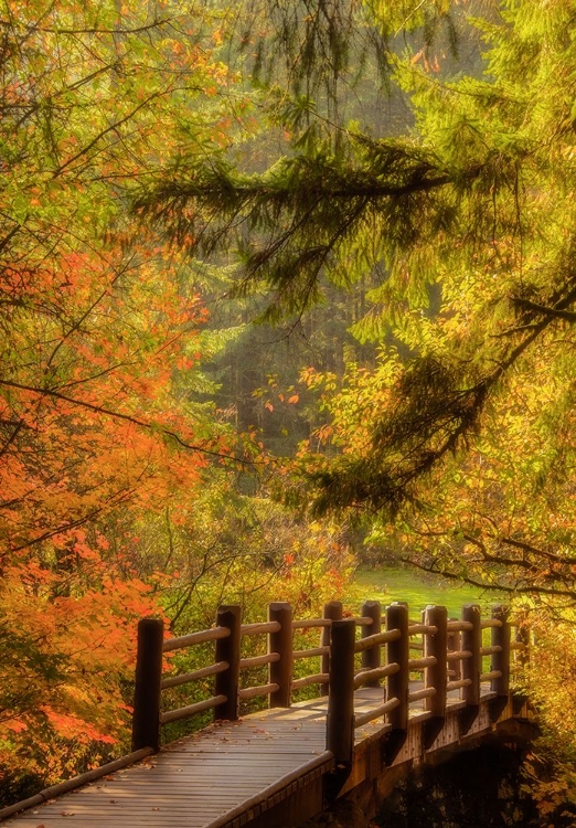 Picture of ACROSS THE BRIDGE IN AUTUMN