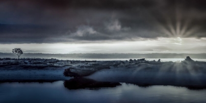 Picture of SUNRISE OVER VASHON