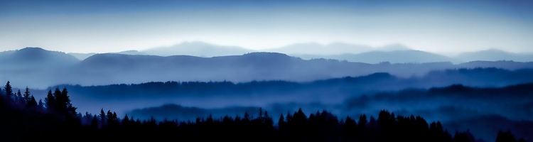 Picture of COAST RANGE IN THE MIST