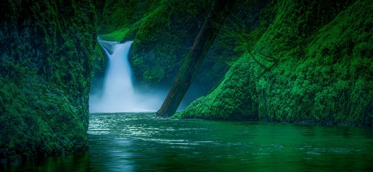 Picture of PUNCHBOWL FALLS