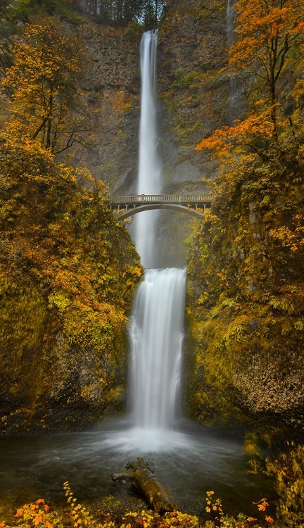 Picture of MULTNOMAH FALLS