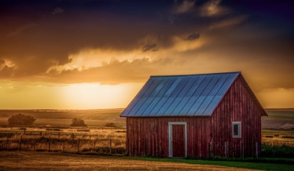 Picture of LITTLE RED SHED