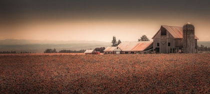 Picture of RUSTED BARN