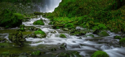 Picture of CREEK BELOW THE FALLS