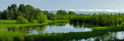 Picture of LUSH SPRING WETLAND