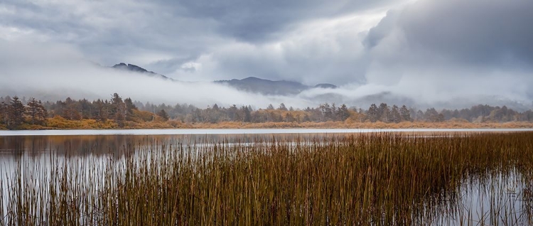 Picture of ALONG THE LAKE