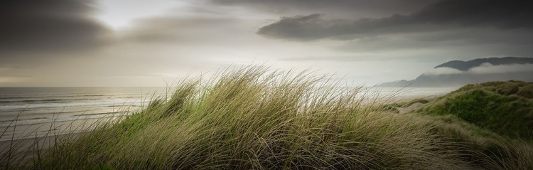 Picture of DUNES AT SUNSET