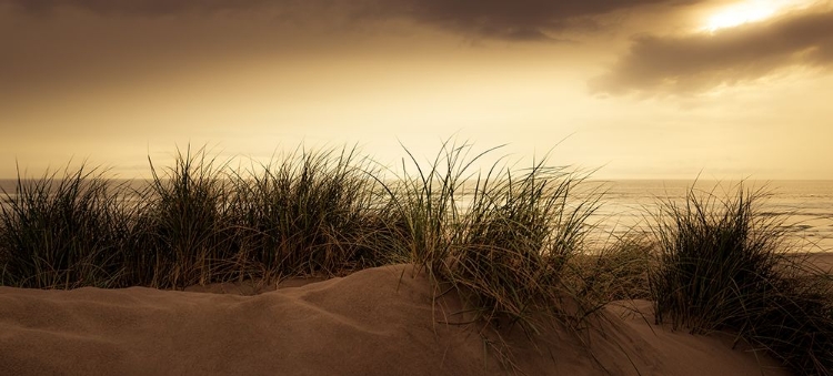 Picture of DUNES