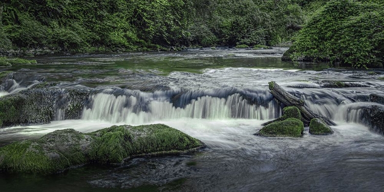 Picture of FLOWING WATER