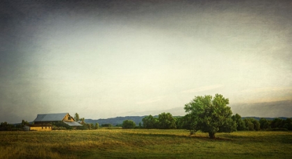 Picture of BARN IN THE PASTURE