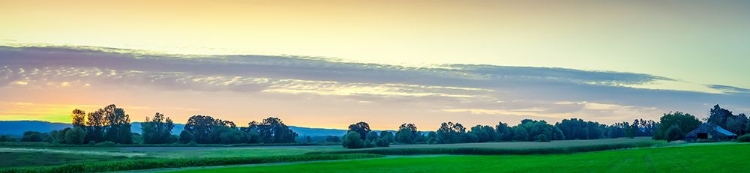 Picture of SMALL BARN AT SUNSET