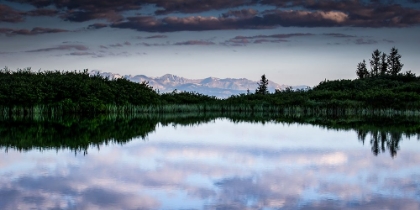 Picture of COTTONWOOD PASS SUNRISE